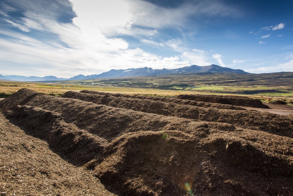 Grænar greinar - hluti I - Molta