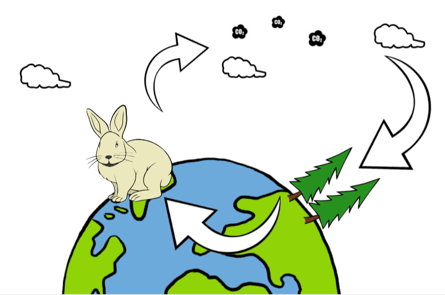 Grunnskóli - Hvar er kolefnið í náttúrunni ?